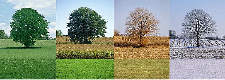 9月版号公布：PS4国行游戏《暗夜长梦》过审